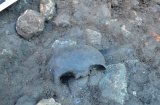 Fragment czaszki leżący na bruku. Czyżby z cmentarza 
trędowatych... to dopiero wyjaśnią badania antropogeniczne.